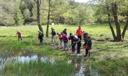 Classe Decouverte   067